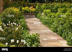 Image result for Royal Paved Path in Garden