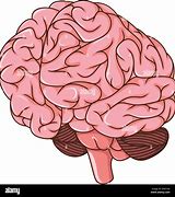 Image result for Brain Cartoon