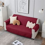 Image result for Dog Mat for Sofa