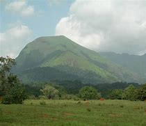 Image result for Mount Nimba Strict Nature Reserve