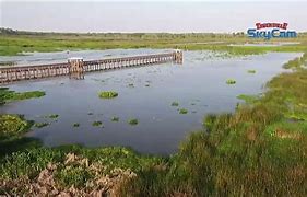 Image result for Cattail Marsh Beaumont TX