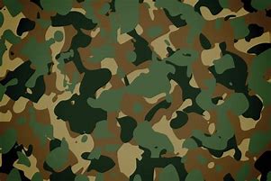 Image result for Army Logo Texture