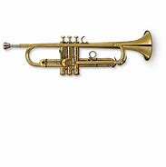 Image result for Trumpet Hat