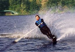 Image result for Water Skiing Gerbils