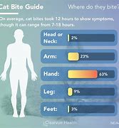 Image result for Cat Ear Bite