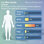 Image result for Minor Cat Bite On Face