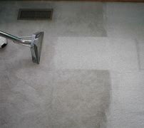 Image result for Carpet Steaming