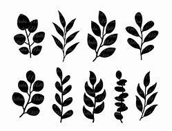 Image result for Leaf Decor SVG