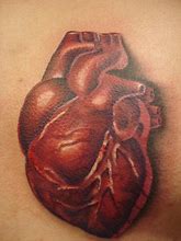 Image result for Anatomical Heart Tattoo Red