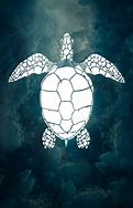 Image result for Turtle Graphic Design