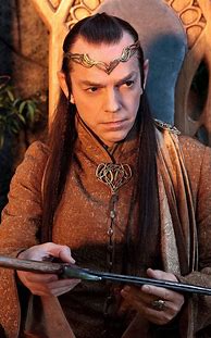 Image result for Elrond Hairstyle