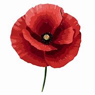 Image result for Purple Poppy No Background