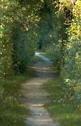 Image result for Example of Paths in a City