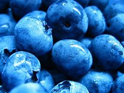 Image result for Blueberry JPEG