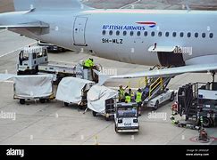 Image result for Airbus A320 Bulk Luggage