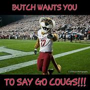 Image result for Butch Go Cougs