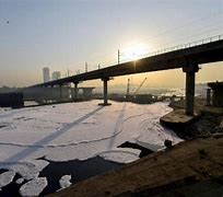 Image result for Water Pollution in Yamuna River