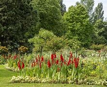 Image result for Mainau Germany Location