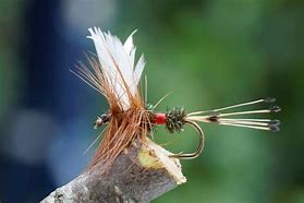 Image result for Fly Fishing Lures