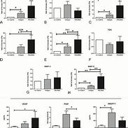 Image result for Il-12 qPCR