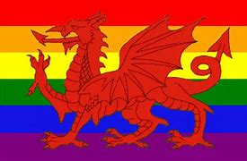 Image result for Welsh Dragon USA Flag