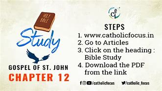 Image result for John 12 Catholic Bible