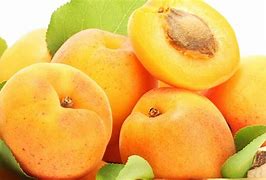 Image result for Froot Apricot Wallpaper