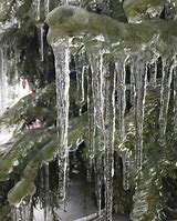 Image result for Snowstorm Icicles