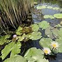 Image result for Okavango Inland Delta