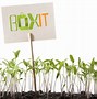 Image result for Outdoor Boxit Plant