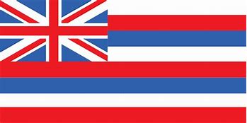 Image result for The Hawaiian Flag