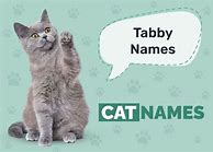 Image result for tabby cat kitten names