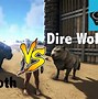 Image result for Aelurodon vs Dire Wolf