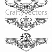 Image result for Air Force Navigator Wings