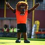 Image result for American Football Mascots