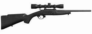 Image result for Crackshot 22 Rifle