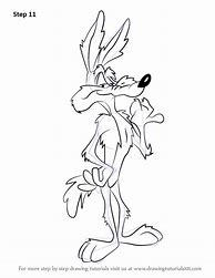 Image result for Wile E. Coyote Drawing