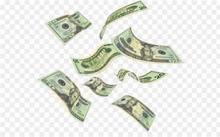 Image result for Animated Raining Money