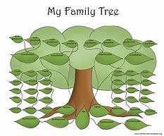 Image result for Basic Family Tree Template