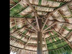 Image result for Palm Thatch Roof