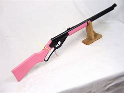 Image result for Hot Pink Gun