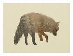 Image result for Coyote Brown Slickster