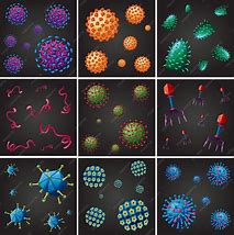 Image result for Different Kinds of Viruses