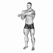 Image result for Shoulder Muscles Stretching