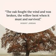 Image result for Quotes On Resilience