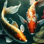 Image result for Lucky Fish Wallpaper