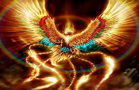 Image result for Phoenix Bird Art