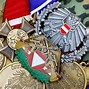 Image result for Austrian Army Guards