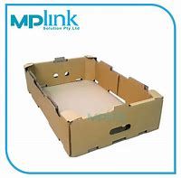 Image result for Carton Tray in Box