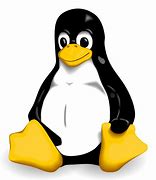 Image result for Linux Windows Logo